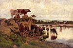 Cattle Watering